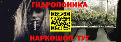 крисы Мариинск