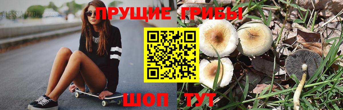 Шахты  Галлюциногенные грибы мухоморы  Вход с VPN 