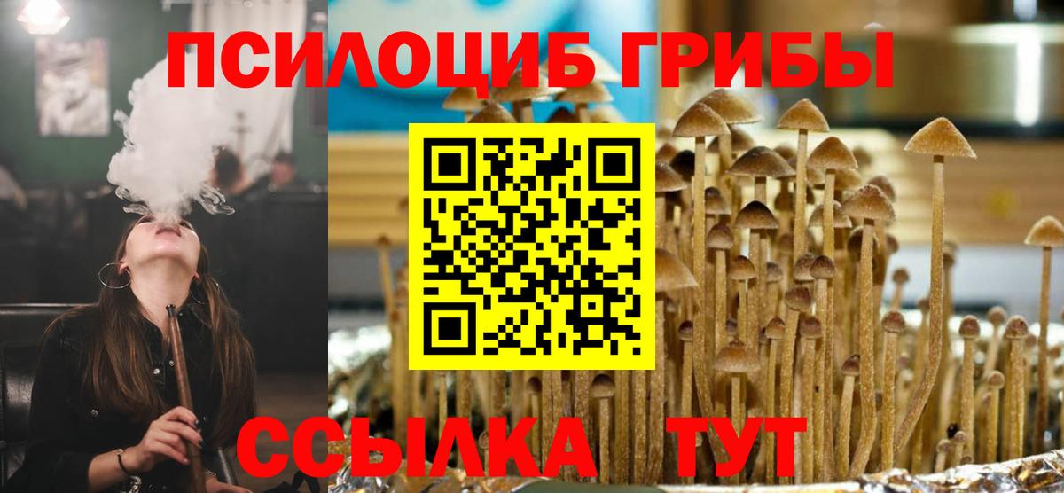 Галлюциногенные грибы Psilocybe Шахты